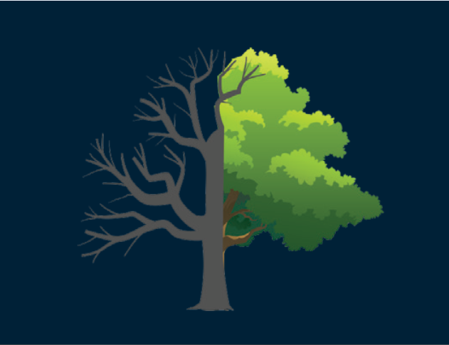 Martyrs Live Forever